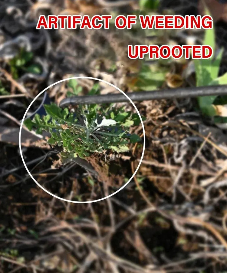 HandHoe™ | Tragbare Handhacke Unkrautstecher