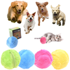 Active Pet™ – Interaktives Spielzeug für Hunde und Katzen